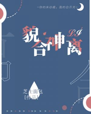 貌合神离