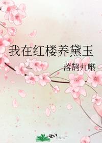 我在红楼养黛玉